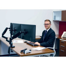 Fellowes 8042601 Platinum...