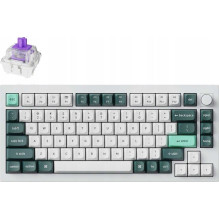 Keychron Q1 HE 75% Magnetic...