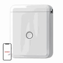 Niimbot D110M Portable...