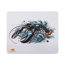 Baracuda BGMP-061 Lobster 300x250 Baracuda BGMP-061 Lobster 300x250