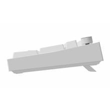 Genesis Thor 404 Gateron...