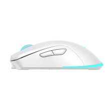 Baracuda BGM-122 Turtle White Baracuda BGM-122 Turtle White
