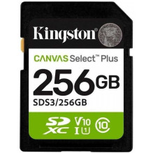 Kingston 256GB Canvas...