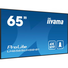 Iiyama ProLite...