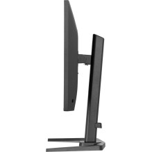 Iiyama G-Master...