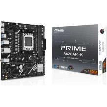Asus PRIME A620AM-K