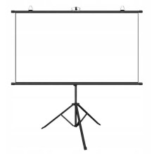 BlitzWolf BW-VS12 120"