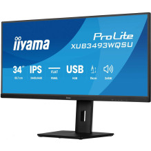 Iiyama ProLite...