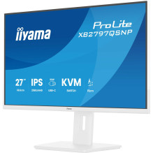 Iiyama G-Master...