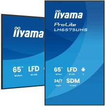 Iiyama ProLite...