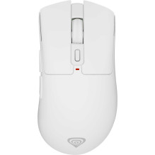 Genesis Zircon 880 White Genesis Zircon 880 White
