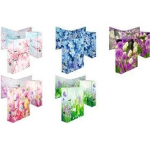 Ringmape Herma Folder Blue...