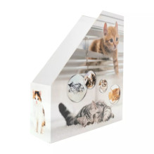 HERMA Stehsammler Katzen A4...