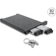Delock Adapter Frame for 2...