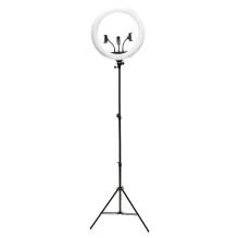 Rio RL18-EU / 1.2 45cm...