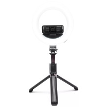 Rio RLRC-EU / 1,3 15 cm...