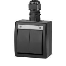 SWITCH 5002-67 2GANG IP65...