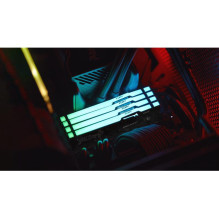 RAM modulis - Kingston FURY Beast RGB 16 GB 6000 MHz juodas RAM modulis - Kingston FURY Beast RGB 16 GB 6000 MHz juodas