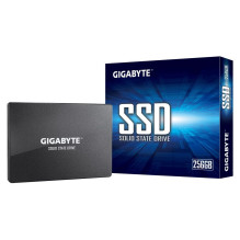 GIGABYTE GP-GSTFS31256GTND...