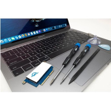 OWC 2TB Aura Pro NT...