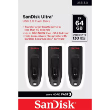 WESTERN DIGITAL Sandisk...