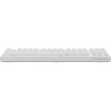 „Genesis Thor 404 TKL Kailh...