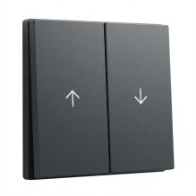 GIRA System 55 Wippe 2f...