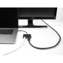 Delock USB Type-C Trademark...