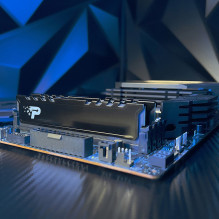 Patriot Memory Signature Line Premium PSP548G56002H1 memory module 16 GB 1 x 16 GB DDR5 5600 MT / s 288-pin DIMM