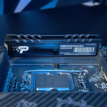 Patriot Memory Parašo linija Premium PSP548G56002H1 atminties modulis 16 GB 1 x 16 GB DDR5 5600 MT / s 288-pin DIMM Patriot Memory Parašo linija Premium PSP548G56002H1 atminties modulis 16 GB 1 x 16 GB DDR5 5600 MT / s 288-pin DIMM