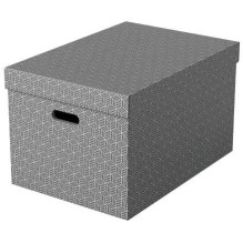 Uzglabāšanas kaste ESSELTE...