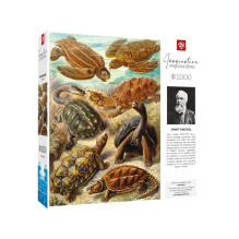 Dėlionė - Cenega Publishing Good Loot Imagination Ernst Haeckel Jūros Vėžliai 1000 Detalių Dėlionė - Cenega Publishing Good Loot Imagination Ernst Haeckel Jūros Vėžliai 1000 Detalių