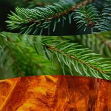 Kvapioji Žvakė - WoodWick Ellipse Fraser Fir Žalia Kvapioji Žvakė - WoodWick Ellipse Fraser Fir Žalia