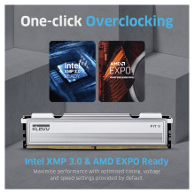 32GB ( 2x16GB ) KLEVV DIMM Fit V 6000MHz CL28 (juoda)