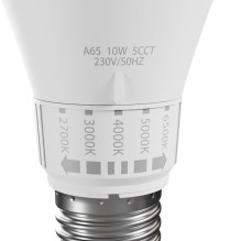 Apšvietimo Įrenginys - ZAR.LED 10W E27 Reguliuojama Spalvos Temperatūra 1100 Liumenų Balta Apšvietimo Įrenginys - ZAR.LED 10W E27 Reguliuojama Spalvos Temperatūra 1100 Liumenų Balta