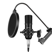 Mikrofonas - Puluz PU612B, Juodas, 20 Hz-20 kHz, 3,5 mm, USB