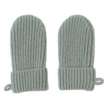 lodger Lodger Mittens...