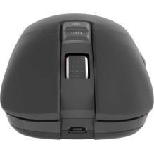 Genesis Zircon 330