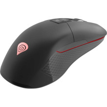 Genesis Zircon 330