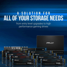 PNY CS2230 500GB M280CS2230-500-RB PNY CS2230 500GB M280CS2230-500-RB