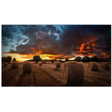 Samsung Videowall LH55VMBUBGBXEN 55" IPS 16:9 Samsung Videowall LH55VMBUBGBXEN 55" IPS 16:9