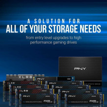 PNY CS2230 1TB M280CS2230-1TB-RB PNY CS2230 1TB M280CS2230-1TB-RB