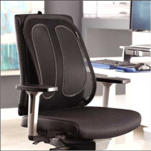 Fellowes Tinklinė nugaros atrama 9191301 Fellowes Tinklinė nugaros atrama 9191301