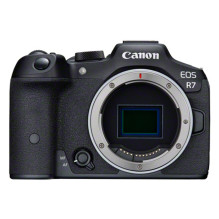 EOS R7 32.5Megapixel Black...