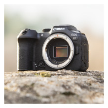 EOS R7 32.5Megapixel Black Digital Camera