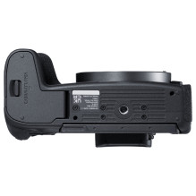 EOS R8 24.2Megapixel Black Digital Camera