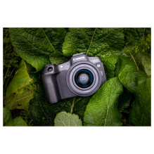 EOS R8 24.2Megapixel Black Digital Camera