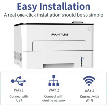 Pantum P3010DW