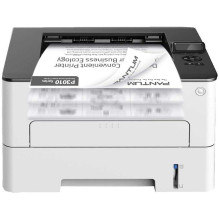 Pantum P3010DW