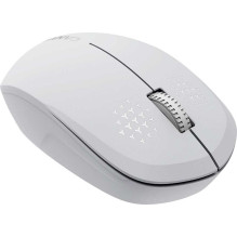 Canyon MW-04 White